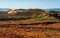 Fort Ord Dunes State Park in Coastal Monterey