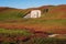 Fort Ord Dunes State Park in Coastal Monterey