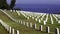 Fort Rosecrans National Cemetery in San Diego