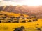 Fort Sacsayhuaman and Cuzco city on backgroudn on sunny day, Peru