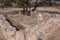 Fort Sesfontein Cemetary with three Graves