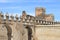 Fortified walls of Fes