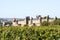 Fortress of Carcassonne and vineyard