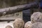 Fortress Koules Castello a Mare. Old rusty Venetian cannon, cannon balls inside the fortress Koules.