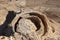 Fortress Masada in Israel