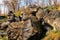 The Fortress of PrzemyÅ›l. Austrian Forts. Industrial basement of secret military base. Stone bunker.  Old town of PrzemyÅ›l.