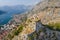 Fortress of St. John in Kotor. Montenegro. Powerful zigzag wall