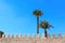 Fortress wall and two palm tree in ancient Cairo Citadel, Egypt, North Africa. Famous landmark of Cairo ottoman era Citadel