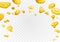 Fortune golden dollar coins flying reward background. Casino cash prize money rain jackpot. Isolated realistic 3D currency over w