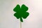 Fortune, luck and st patricks day concept - green paper four-leaf clover on white background