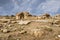 Forty Columns Fortress in Paphos