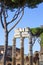 Forum of Caesar Foro di Cesare, part of Forum Romanum, view of the ruins of Temple of Venus Genetrix, Rome, Italy