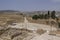 Forum (Oval Plaza) in the ancient Roman city of Gerasa, Jerash,