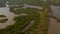 Forwards revealing footage of tropical coastal landscape. Aerial view of lakes and swamps in rain forest. Nature reserve