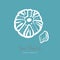 Fossil ammonite nautilus seashell  logo set. Isolated  of seashells, ancient ammonite fossil logo, card