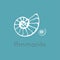 Fossil ammonite nautilus seashell vector logo. Hand drawn illustration for spa salon, seafood cafe restaurant corporate