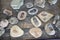 Fossil ammonite shell, trilobites and starfish in shop, Morocco, Africa