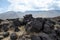 Fossil Falls formed years ago when the Owens River carved through the volcanic basalt rocks in the Eastern Sierra Nevada of