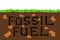 Fossil fuel - black coal is under ground in the soil.