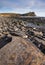 Fossil hunting on the Dorset coastline