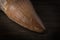 Fossil Mosasaur Tooth on wood background with root