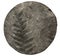 Fossil plant fern pattern on stone surface, drill core. Front view.