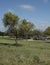 Fossil Rim Wildlife Center