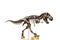 Fossil skeleton of Dinosaur Tyrannosaurus Rex