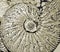 Fossilized ammonite close-up