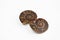 Fossilized Ammonite stock images