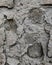 Fossilized corals in the Nazca desert. Ica, Peru