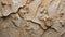 Fossilized Elegance: Geological Significance Unveiled. AI generate