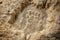 A fossilized footprint of a prehistoric creature preserved in rock.. AI generation