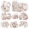 Fossilized plants, stones and minerals, crystals, prehistoric animals, archeology or paleontology. fragment fossils