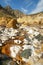 Fossilized rocks in the Barraco de la Sal, Alicante, Spain.