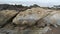 Fossils on rocks in California, USA