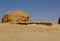 Fossils in wadi al-hitan, whale valley at al fayoum in Egypt