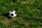 Fotball or soccer black and white ball on green grass background