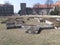 Foundations of Old Wawel