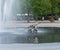 Fountain and a baby tram in a graden at gothenburg, Sweden in Spring