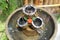 Fountain basin made of clay burned.