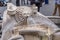 Fountain of the Boat Fontana della Barcaccia on Spanish square Piazza di Spagna in  Rome, Italy