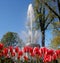 Fountain in the Chinese Garden. In the foreground there are tulips. Petergof, Russia