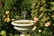 Fountain for the courtyard, fountain in the garden, hornbeam roses and yellow roses, beautiful garden with flowers, garden with ro