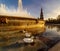 Fountain with ducks in the Plaza de EspaÃ±a in Seville, on a sunny day at sunset, calm and relaxing atmosphere