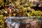 Fountain at the entrance of the japanese gardens in Grand Rapids Michigan