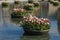 Fountain with flowerbeds of tulips