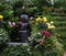 Fountain and flowers