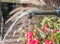 Fountain with flowers in Riquewihr, France