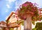 Fountain with flowers in Vevey summer